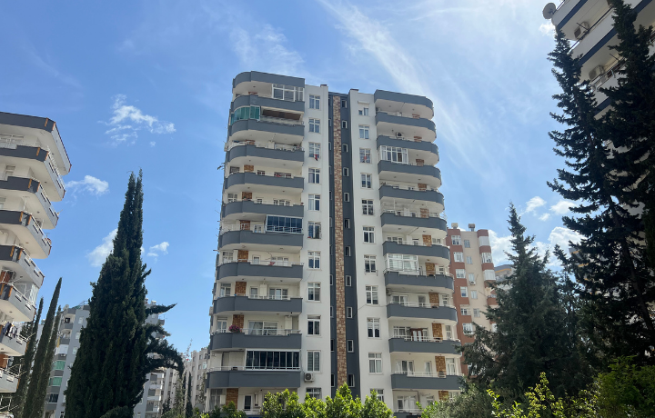 TALİP Apt